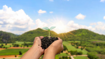 Sustainability in Coffee.. The Mellō Way