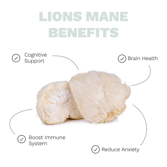 Huntress (Lion's Mane Integrated Coffee)